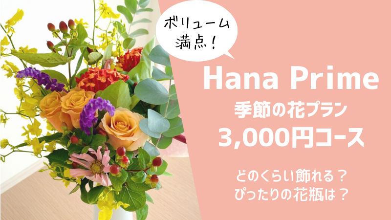 ハナプライム定期便3,000円コースはこんなお花が届きます！飾って9日目 ...